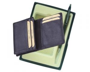 Card Holder and Pen